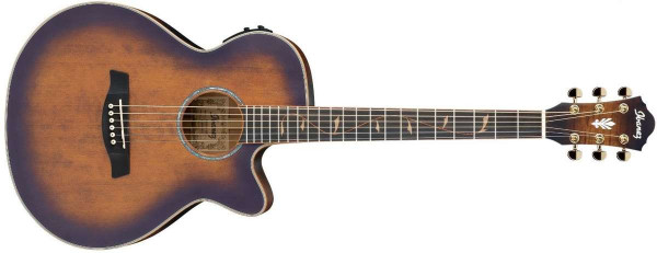 Ibanez AEG40II OAB Open Pore Antique Brown SB