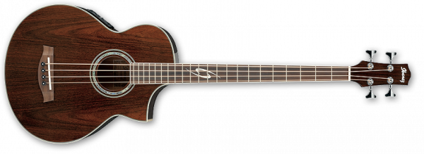 Ibanez Acoustic Bass EWB20WNE