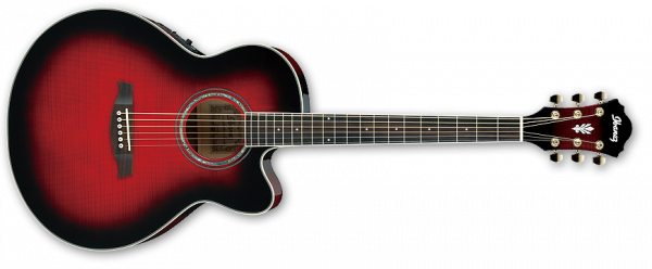 Ibanez Acoustic AEL20E-TRS