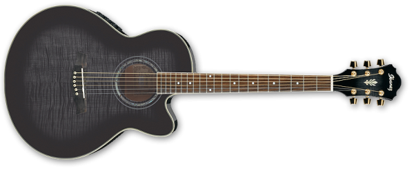 Ibanez AEL20E TKS Transparent Black SB High Gloss