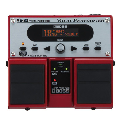 VE-20 Vocal Performer