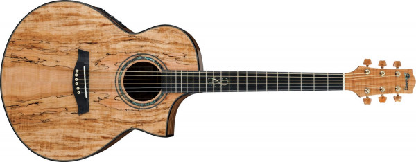 Ibanez EW50SME NT Natural High Gloss