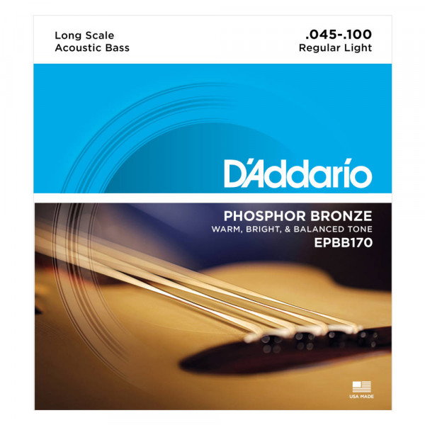 D'Addario EPBB170 .045-.100 Acoustic Bass