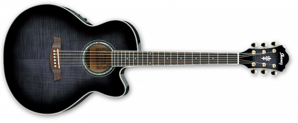 Ibanez Acoustic AEL20E-TKS
