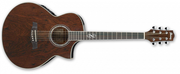 Ibanez Acoustic EW20WNE