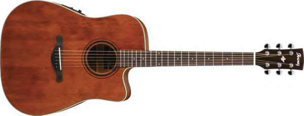 Ibanez AW250ECE RTB Rustic Brown Low Gloss